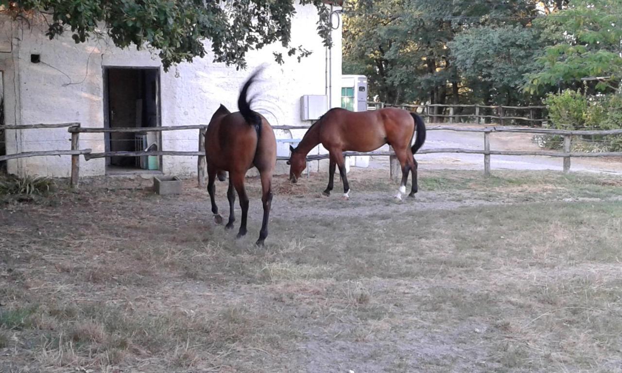 Ferme Equestre Des Abrons Villa Pailloles Luaran gambar