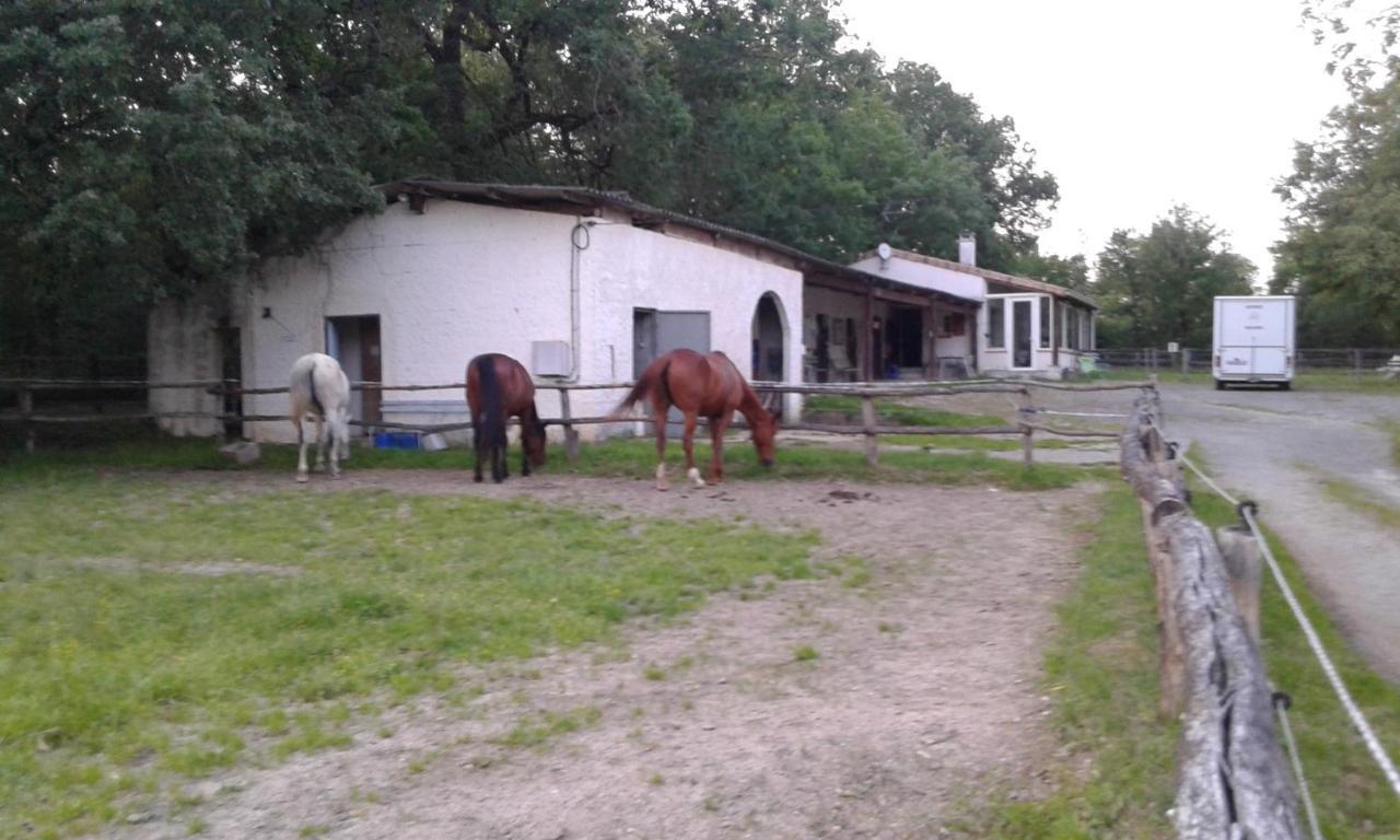 Ferme Equestre Des Abrons Villa Pailloles Luaran gambar