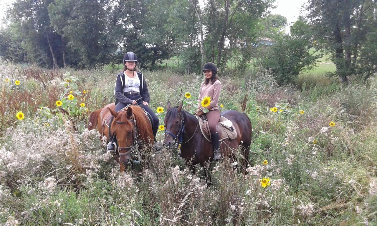 Ferme Equestre Des Abrons Villa Pailloles Luaran gambar