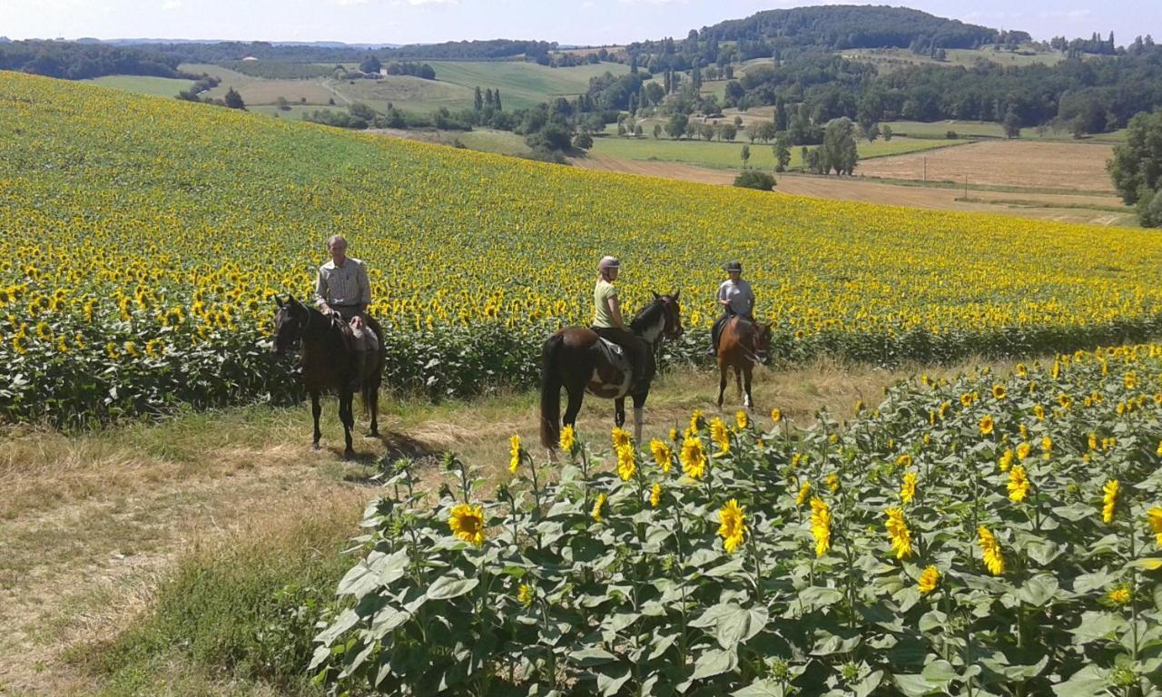 Ferme Equestre Des Abrons Villa Pailloles Luaran gambar